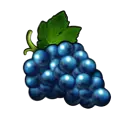 Grapes in Shining Crown