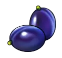 Plum in Shining Crown
